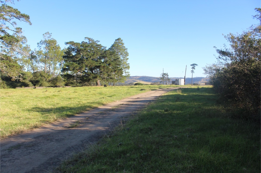 5 Bedroom Property for Sale in Mooiplaas Eastern Cape